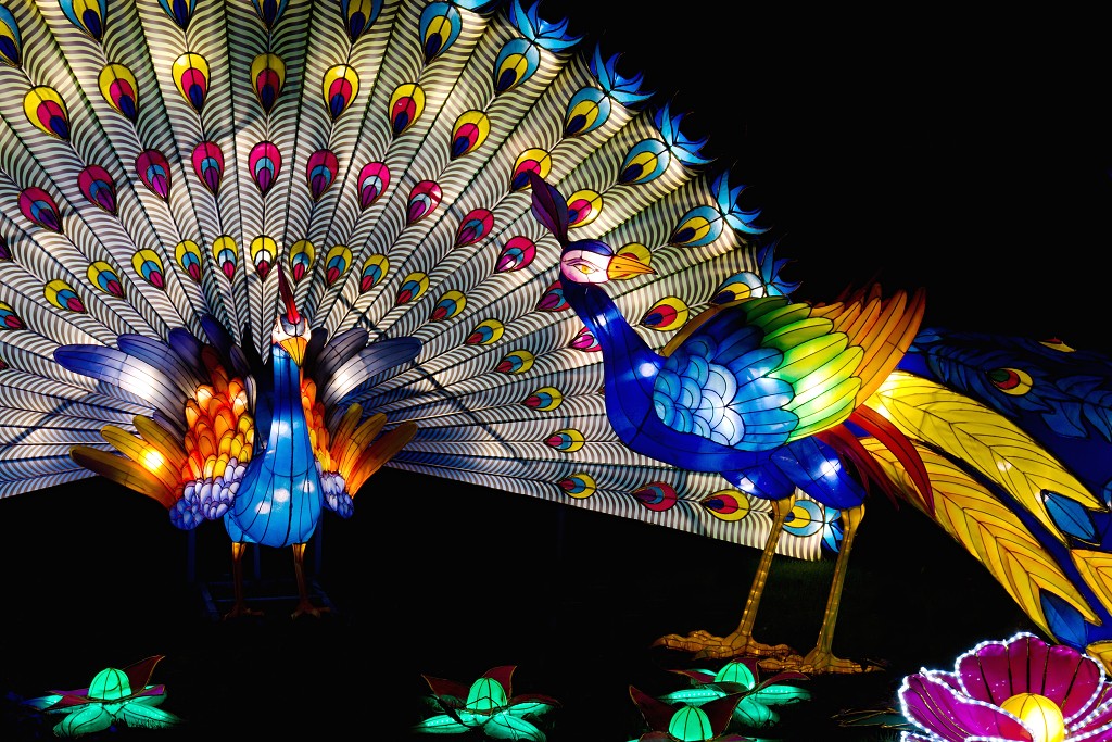 china light licht festival lichtshow show festiviteit glow evenement event chinees chinese verlichting draak dragon lichtfestival zoo